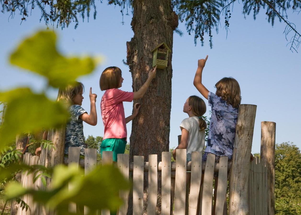 Camping Het Wieskamp Henxel Екстериор снимка